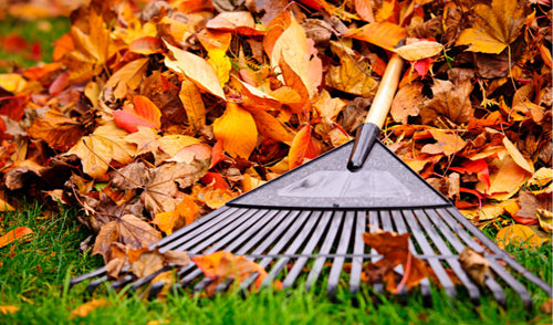 Leaf It to Us: Best Rental Equipment for Your Fall Renovations