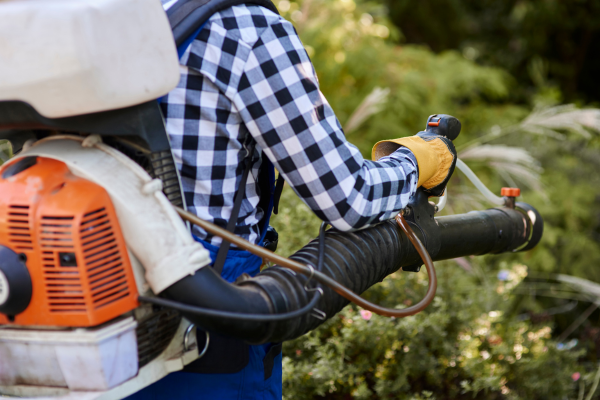 Individual using a leaf blower