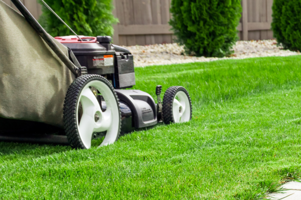 Push mower cutting grass